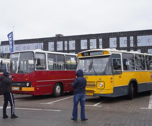 Katarzynki 2024 - wystawa autobusów przy Galerii Panorama