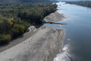 Rekordowo niski poziom Wisły w Kazimierzu Dolnym. Zobacz