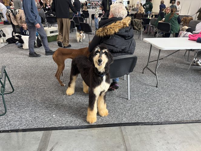 ZooPark w Lublinie. Dzień drugi