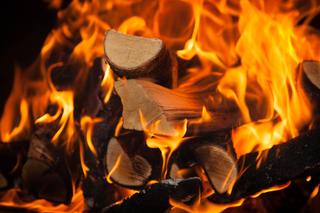 Drewno opałowe. Jak obliczyć, ile go potrzeba? Jakie drewno da najwięcej ciepła?
