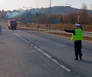 Kontrole na granicach z Czechami i Słowacją. Atakuje pryszczyca