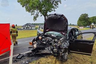 Tragiczny wypadek na DK 42. Zginęły dwie osoby. Szokujące informacje na temat kierowcy citroena