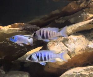 Rozmawiamy z Tomaszem Wiśniewskim, założycielem Aqua Dreams Bydgoszcz