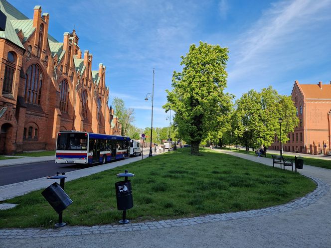 Plac Kościeleckich rozkwita na wiosnę. Bydgoszczanie chętnie wybierają go na spacer