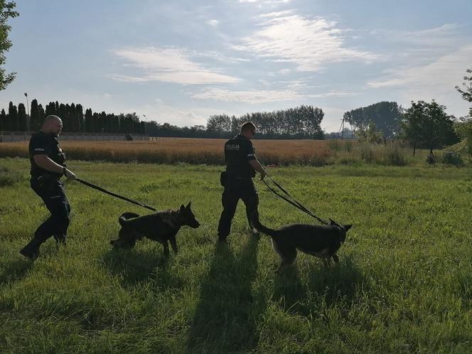 Łódzkie: Poszukiwano go prze kilka dni, ale ON JUŻ NIE ŻYŁ. Policja zatrzymała jego kolegę. Co się stało w Żychlinie?