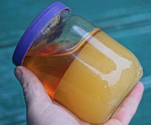 Dodaj łyżeczkę do miodu, a powstanie złoty eliksir. Rozprawi się z pierwszymi objawami choroby