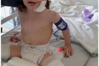 Wybuch gazu w Katowicach. Dwie siostrzyczki czekają na wielkie serca! 