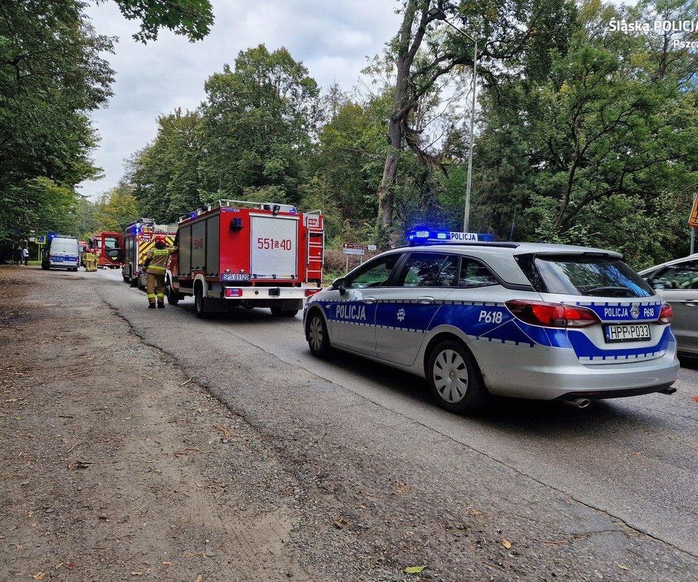 Niebezpieczny wypadek w Pszczynie. Ciężarówka potrąciła seniorkę. Lądował LPR