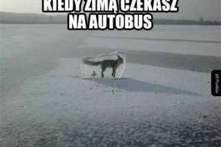 Najlepsze zimowe memy 