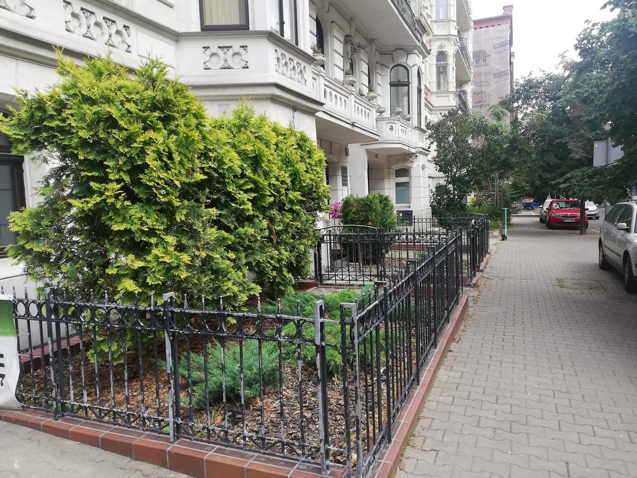 Poznań: Radni ze Starego Miasta chcą więcej zieleni na ulicach! Apel do prezydenta!