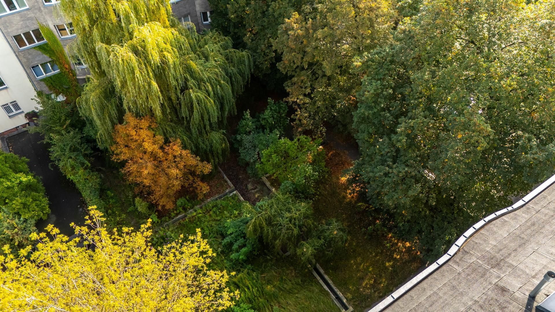 Kamienice Jerzego Wierzbickiego w Warszawie przy Al. Niepodległości