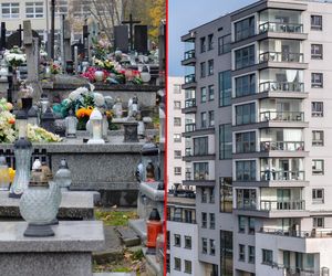 Groby droższe od mieszkań? Sprawdzamy ceny miejsc na cmentarzach w największych miastach