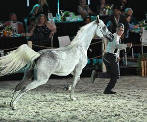 Porażka Pride of Poland 2024? Zyski są zdecydowanie niższe niż rok temu