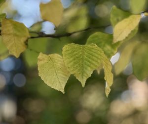 Jesień w Polsce 2025