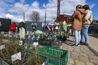 Festiwal mody, słodkości i roślin. Zobaczcie, jak się bawiliście w Czasoprzestrzenii! [GALERIA]