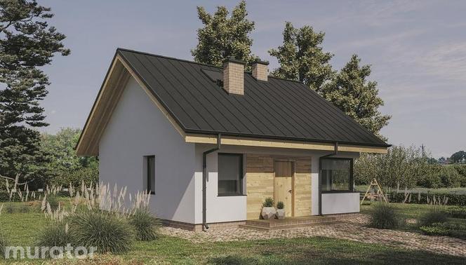Najciekawsze projekty domów parterowych. Zobacz najlepsze projekty z kolekcji Muratora