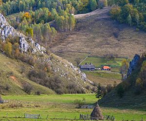 Na te kierunki studiów dostaniesz się łatwiej niż myślisz