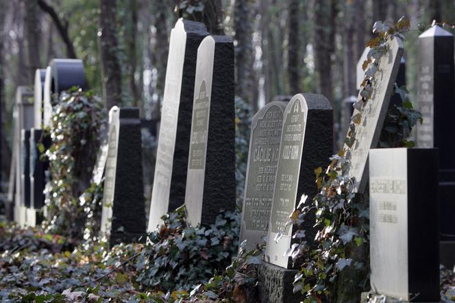 Polski olimpijczyk uporządkował żydowski cmentarz