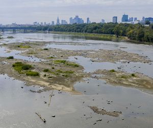 Wisła wysycha. Tak źle nie było nigdy w historii. Zdjęcia z lotu ptaka obrazują skalę suszy