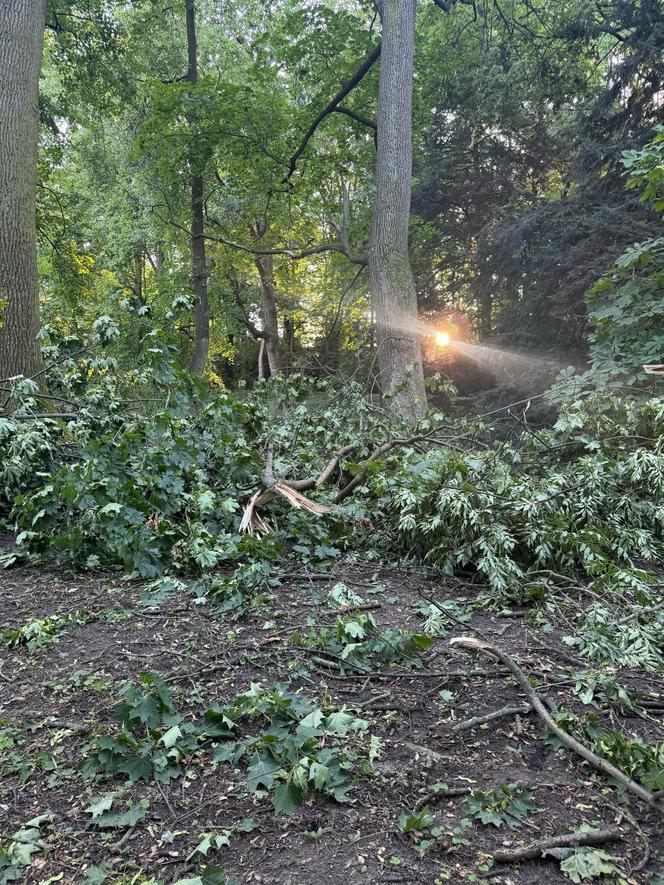 Łazienki Królewskie jednak zamknięte do odwołania