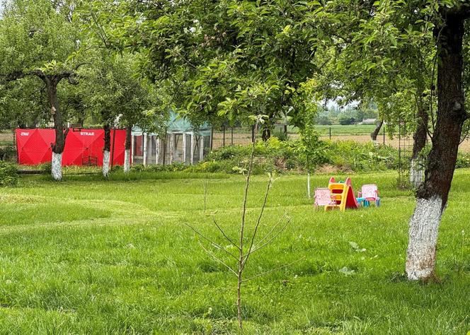 Makabryczne odkrycie w Woli Szczucińskiej. Ciała dwóch dziewczynek w pogorzelisku