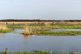 Kładka Śliwno-Waniewo. Ruszył sezon. Masa specerujących