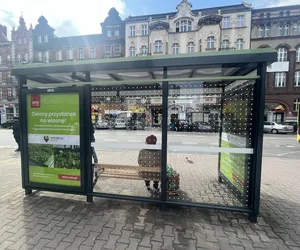 Katowice mają pierwszy zielony przystanek. Kiedy kolejne?