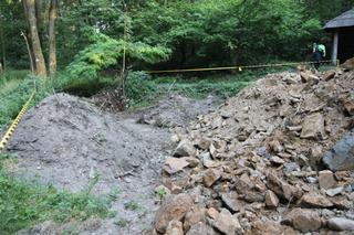 Rowerem z okolic Ślęży do Świnoujścia. Mieszkaniec Sobótki walczy z wycinką drzew