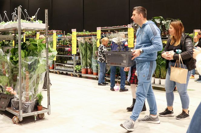 Festiwal roślin odbywa się w Katowicach