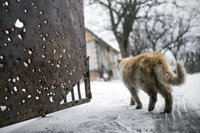 "Konflikt wewnętrzny": Wyjątkowa wystawa zdjęć krakowskiego reportera [GALERIA]