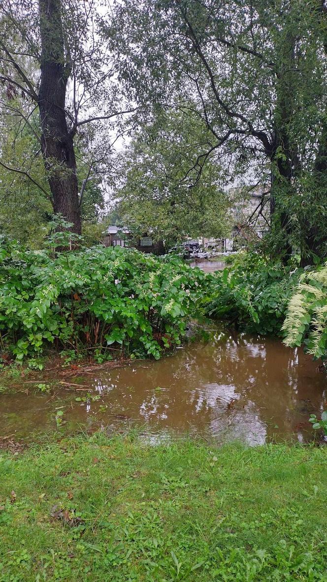 Jelenia Góra pod wodą