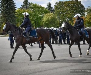 Policyjne konie zdały egzamin!