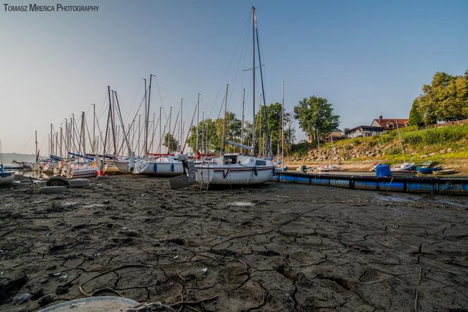 Susza w Jeziorze Żywieckim