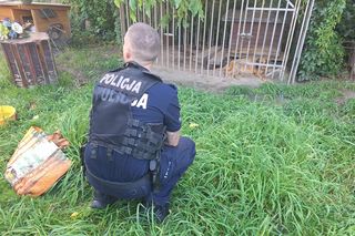 Tragedia na Śląsku. Schorowany pies konał w samotności