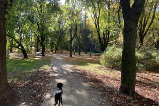 Jesień w Parku Praskim