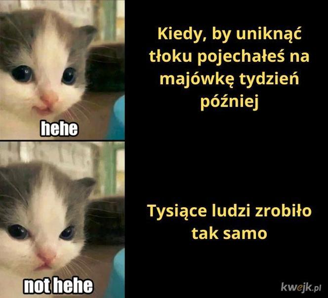 Memy na majówkę 2023. Te obrazki rozbawią Cię do łez!