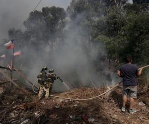 Do 64 wzrosła liczba ofiar pożarów lasów w Chile