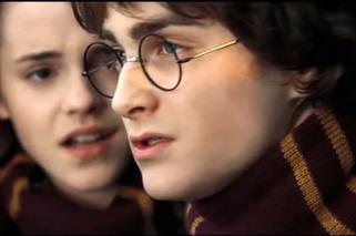 Gwiazdozbiór Harry'ego Pottera. Gdzie znajdziemy go na niebie? 