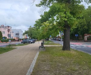 Aleja Dębowa w Bydgoszczy, czyli żywa historia wśród zieleni