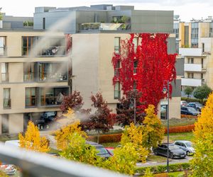 Jesienna metamorfoza balkonu