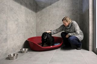 Gliwickie schronisko już po modernizacji. Przebudowany został pawilon dla małych i dużych psów