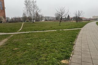 Tu powstanie nowy park w Białymstoku