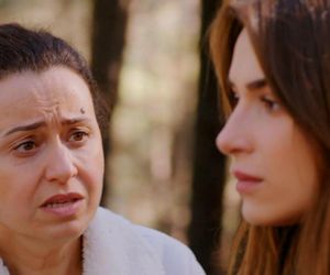 Miłość i nadzieja odc. 322. Sila, Cavidan