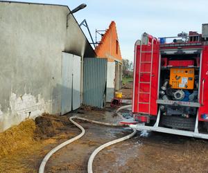 Pożar obory w Dalkach pod Gnieznem