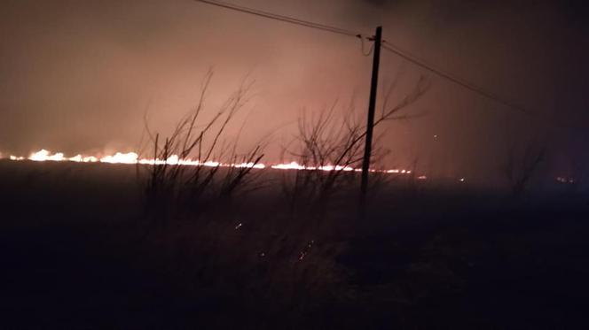 NIE ŻYJE kobieta poparzona w pożarze traw! Seryjne podpalenia na Sądecczyźnie!