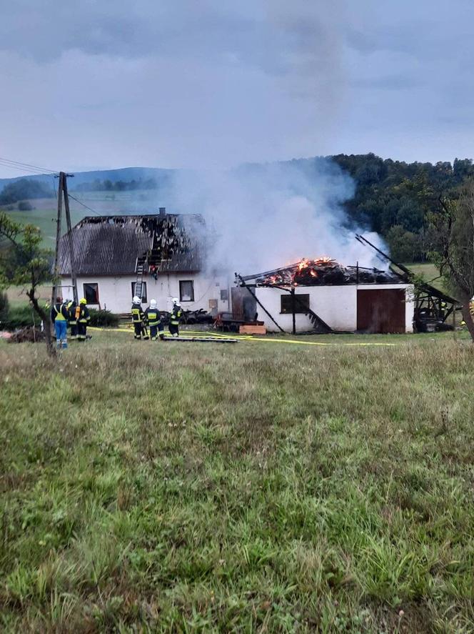 Wilkowisko. Straszny pożar pozbawił domu Barbarę i trójkę jej dzieci. Podpalacz nie miał litości dla rodziny