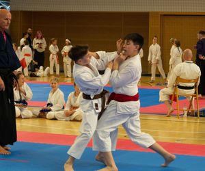 VI Otwarte Mistrzostwa Wilkopolski w Karate Tradycyjnym