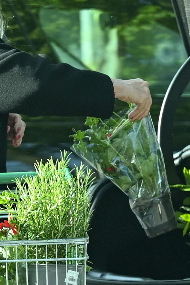 Grażyna Szapołowska sadzi się na wiosnę