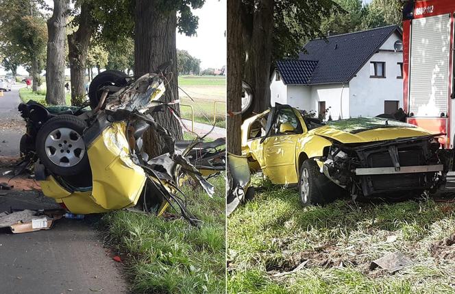 Śmiertelny wypadek pod Świebodzinem. Auto 37- i 32-latka zostało rozerwane na strzępy [ZDJĘCIA].