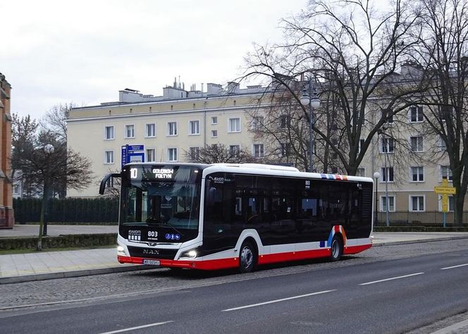 Rekordowe długi za jazdę bez biletu w Radomiu. Rekordzista ma ponad 170 tysięcy złotych długu